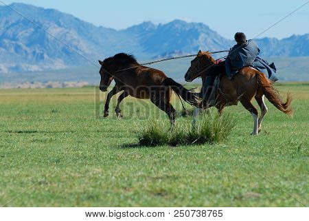 Kharkhorin, Mongolia - August 19, 2006: Unidentified Mongolian Man Wearing Traditional Costume Catch