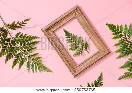 Handmade Minimalist Botanical Interior Decor, Green Tropical Leaves In Wooden Frames Hanging On Pink