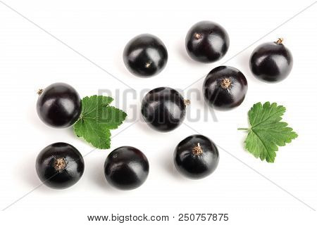 Black Currant With Lef Isolated On White Background. Top View. Flat Lay Pattern.