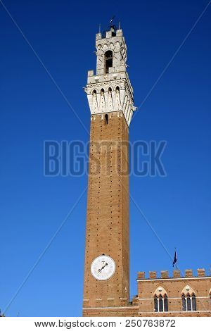 The Torre Del Mangia And The Palazzo Publico In The Campo, Siena, Tuscany, Italy