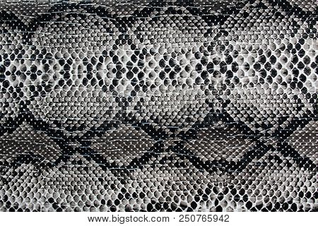 Texture Artificial Skin Similar To A Snake