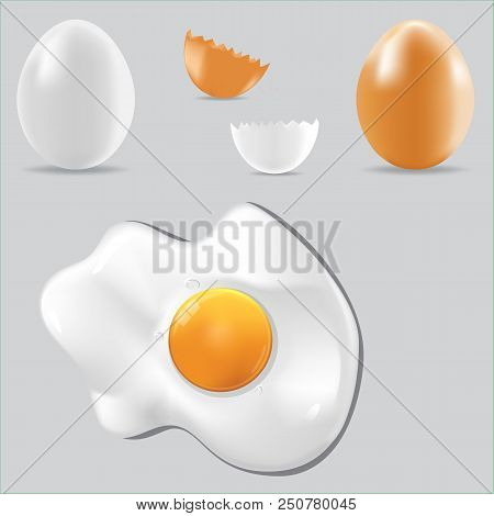 Egg Vector Healthy Food Eggwhite For Breakfast Illustration Set Of Eggshell Or Egg Shaped Ingredient