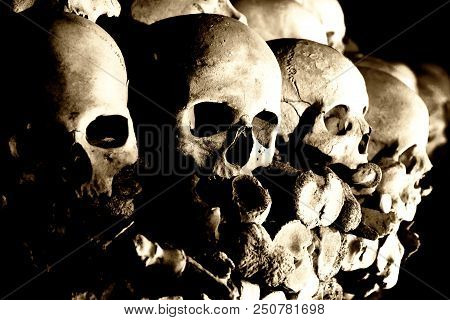 Skulls At The 