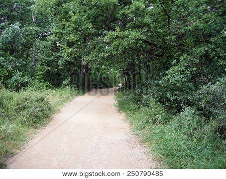 Rustrel, France - July 14, 2018: Photography Showing A Pathway. The Photography Was Taken From The T