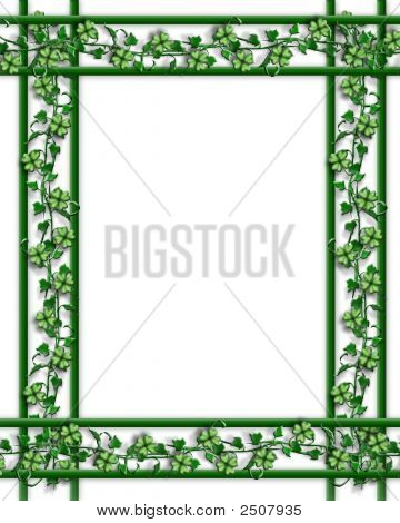 Shamrocks와 아이비의 세인트 Patricks 일 경계