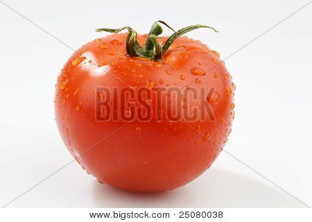 tomato on white background