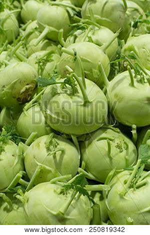 German Turnip Of Kohlrabi Caggage, Fresh Green Vegetable Ready To Eat