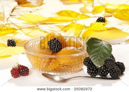 Kompot