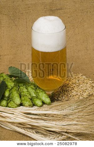 啤酒