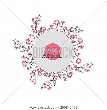 Realistic Sakura Blossom - Japanese Cherry Tree Isolated On White Background.