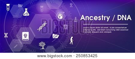 Ancestry / Genealogy Icon Set Web Banner With Family Tree Album, Family Record, Etc