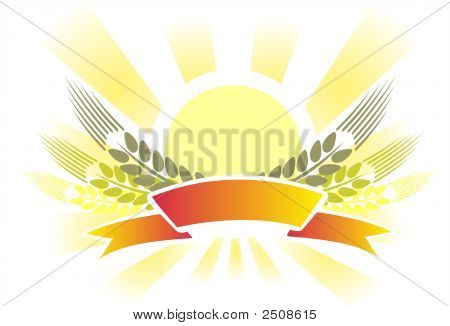 Orecchie e nastro