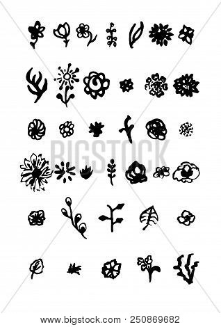 Set Of Doodle Flower And Leaves. Black And White Design Elements
