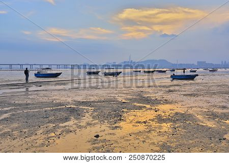 Deep Bay, Shenzhen Bay, View At Hk