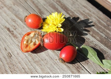 Health Flower Rosehip Berries On Wooden Background. Autumn Composition. Useful Tea Ingrid.