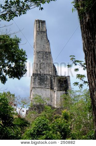 Tikal 스카이 스크 래퍼
