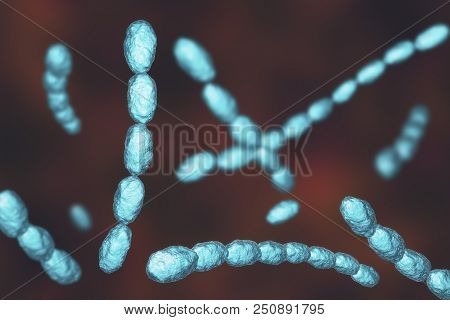 Haemophilus Ducreyi Bacteria, 3d Illustration. Gram-negative Coccobacillus, Which Causes The Sexuall