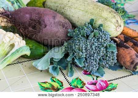 Closeup Of Freshly Harvested Vegetables Turnips, Beetroots, Carrots, Round Marrow, Tomatoes, Cucumbe