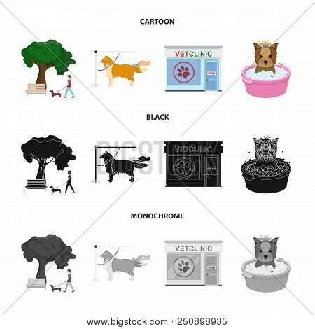 Walking With A Dog In The Park, Combing A Dog, A Veterinarian Office, Bathing A Pet. Vet Clinic And 