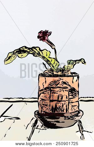 Illustration Of Red Streptocarpus Home Plant In Brown Clay Flowerpot