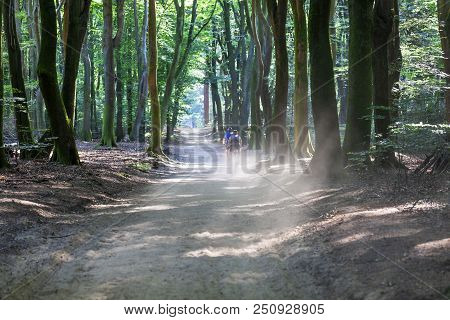 Mountain Bikers In Speulderbos Or Forest Of The Dancing Trees On The Veluwe In The Netherlands