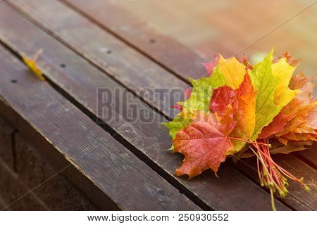 Bouquet Of Autumn Maple Leaves On Bench In The Park Close Up
