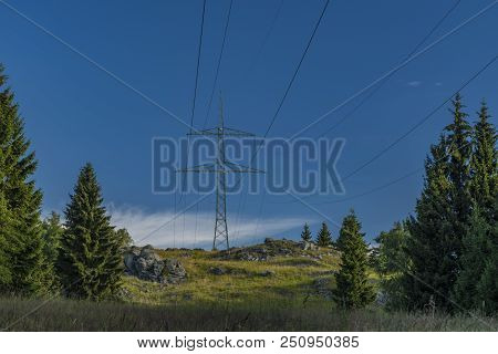 Post Pole In Slavkovsky Les National Park In Sunny Summer Morning