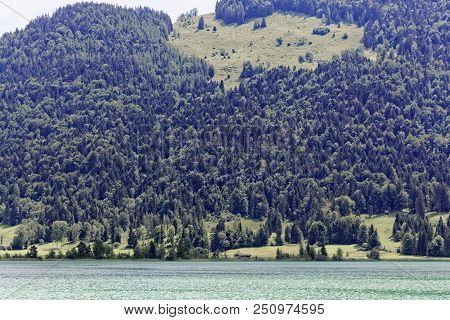 Landscape At The Walchsee In Austria.