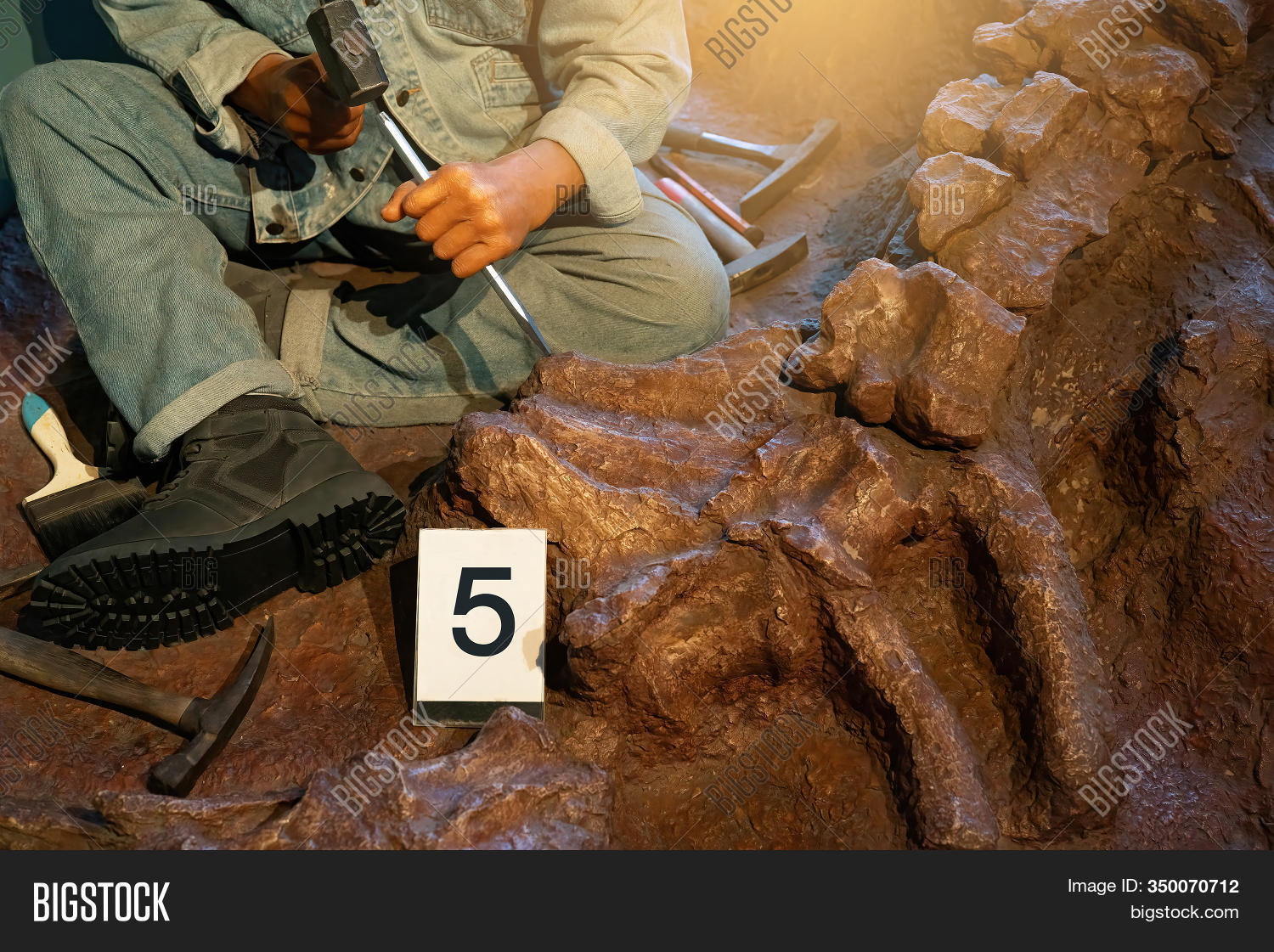 Archaeologist Works On Image & Photo (Free Trial) Bigstock