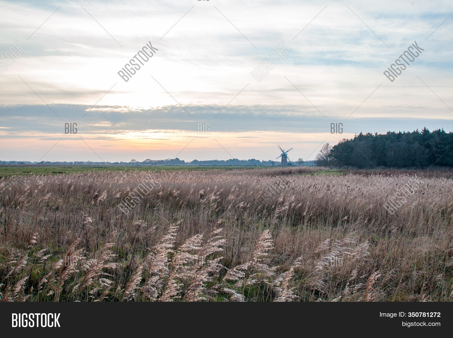 Norfolk Landscape Image Photo Free Trial Bigstock
