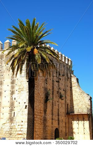 View Of The Castle Homage Tower (torre Homenaje), Jerez De La Frontera, Cadiz Province, Andalucia, S