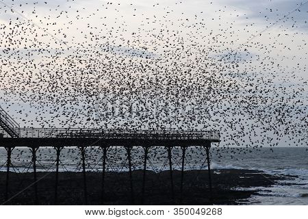 A Murmuration Of Starlings Gathering Around The Pier On The Coast Of Aberystwyth