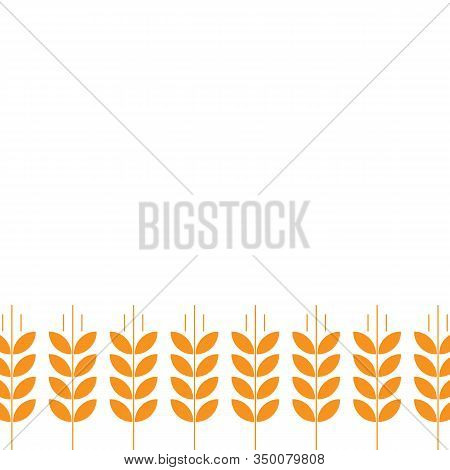 Ears Of Wheat. Agriculture Straw. Orange Rye Grass. Place For Text. Copy Space. Horizontal Banner. B
