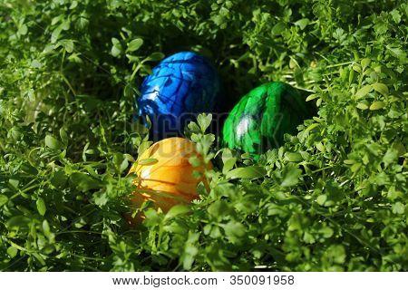 Three Eastereggs In Cress In The Eastertime