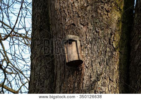 Birdbox - Box As House For Bird Animal