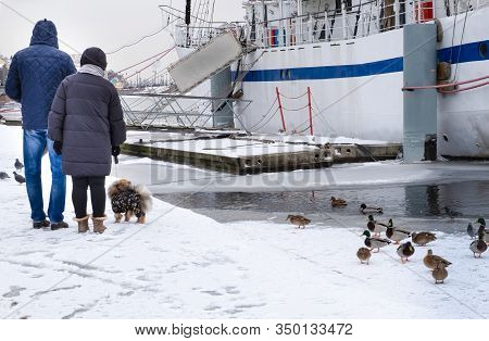 A Middle-aged Couple, Spouses, Walk Their Dog Along The Waterfront In The City In Winter Or Early Sp