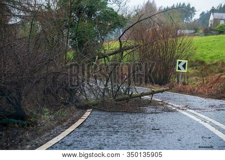 Fallen Tree Blocking The Road In The Peak District During Storm Ciara, Uk. February 2020
