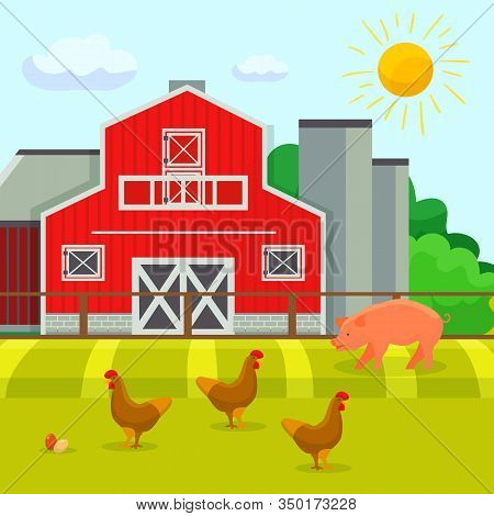 Chickens And Pig Walking On Yard Of Farmstead Buildings Vector Illustration Cartoon Flat Style. Anim