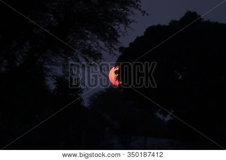 Close Up Of A Big Round Sun Setting Back Tree In Forest In The Evening Against Blue Sky, Sunset On E