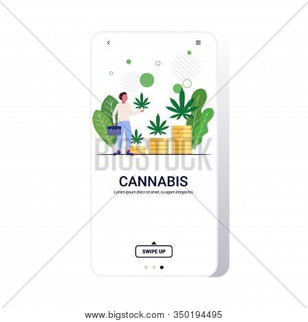 Businessman Holding Cannabis Leaf Hemp Plants Growing On Stacks Of Money Coins Marijuana Business Dr