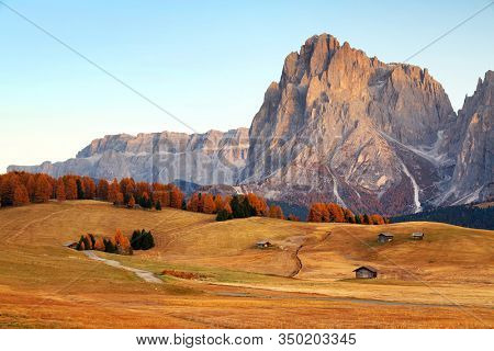 Autumn sunrise scenery with yellow larches in Alpe di Siusi (Seiser Alm) Dolomites, Italy, Europe