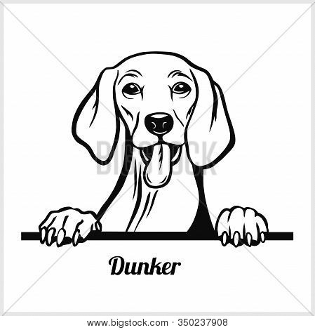 Dog Head, Dunker Breed, Black And White Illustration