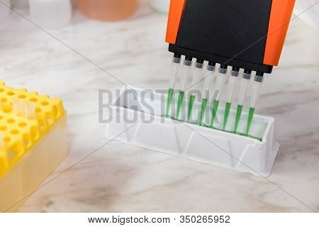 A Scientist Uses A Multi-pipette For Research In The Laboratory. Working With Chemicals. Scientific 
