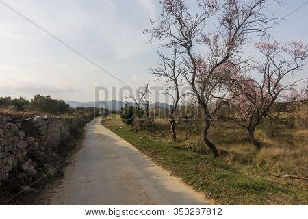 The Surroundings Of The Town Of Sant Mateu
