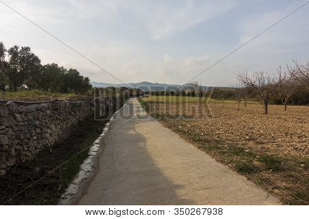 The Surroundings Of The Town Of Sant Mateu