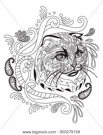 Vector Hand Drawing Zentangle Doodle Coloring Antistress With Ornamental  Scottish Fold Cat Portrait