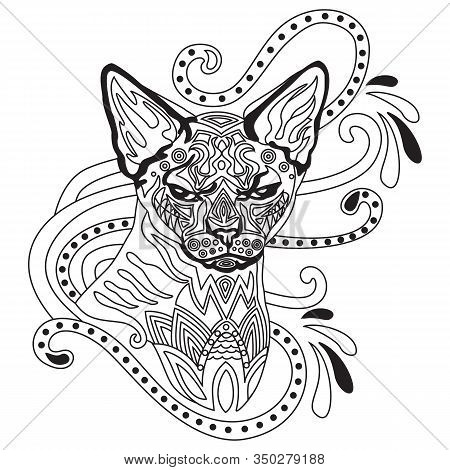 Vector Hand Drawing Zentangle Coloring Antistress With Ornamental Sphinx Cat Portrait Isolated On Wh