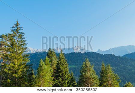 Fir Trees And Mountain Range Alps Germany