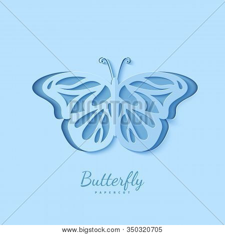 Tropical 3d Butterfly In Paper Cut Style. Beautiful Lacewing Element Of Romantic Valentine Card Cut 