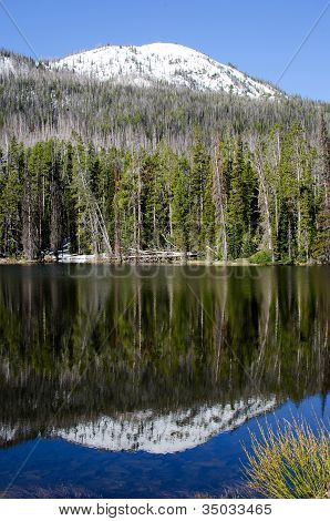 Sylvan jezioro, Park Narodowy Yellowstone, Wyoming, Stany Zjednoczone Ameryki